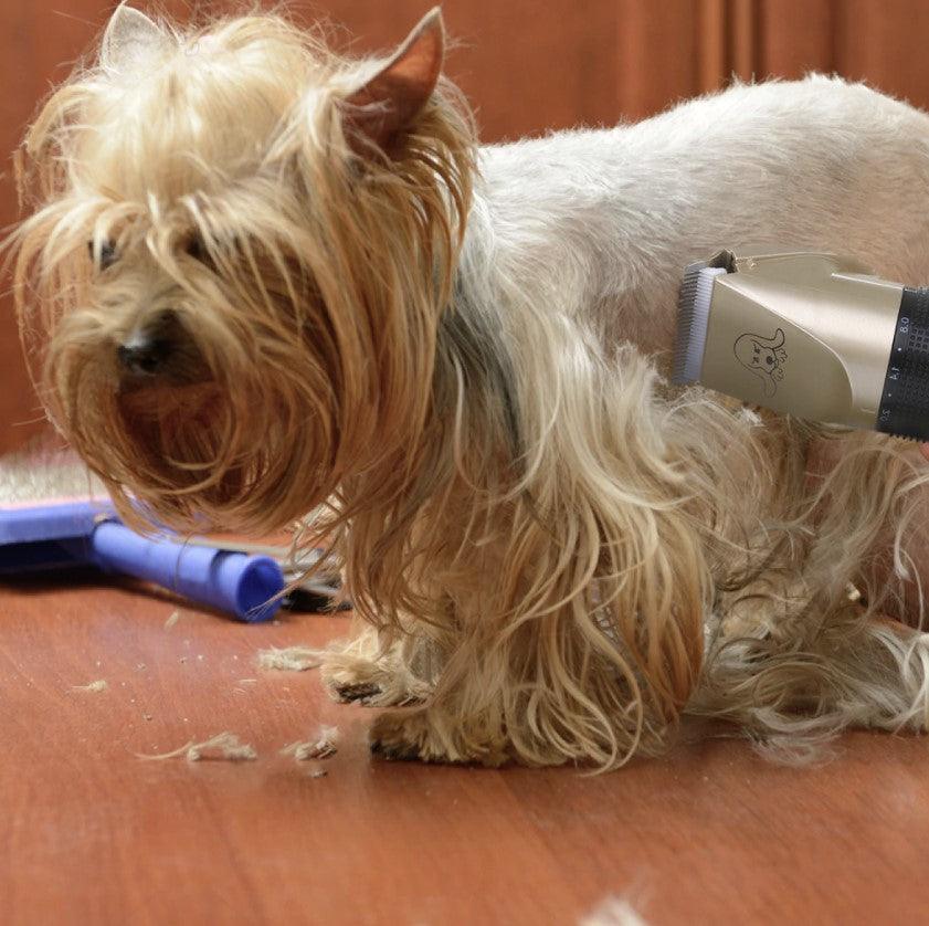 Pet Grooming Tool - Trendha