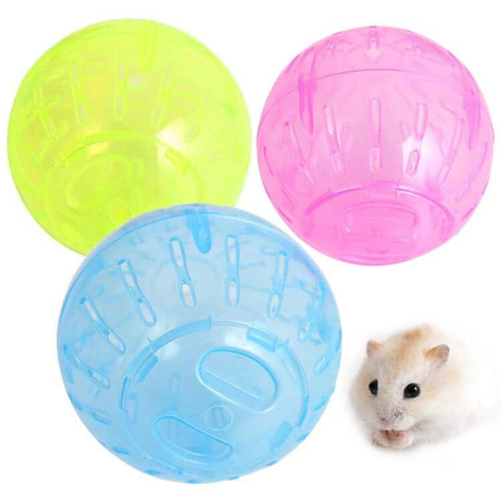 Ball Toy for Small Pets - Trendha