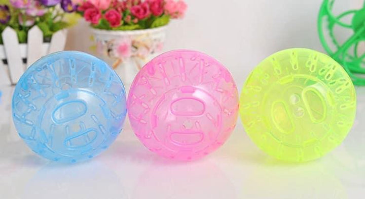 Ball Toy for Small Pets - Trendha