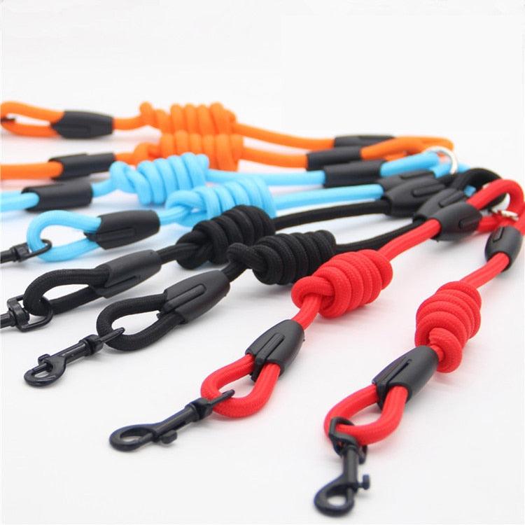 Nylon Training Rope for Dogs - Trendha