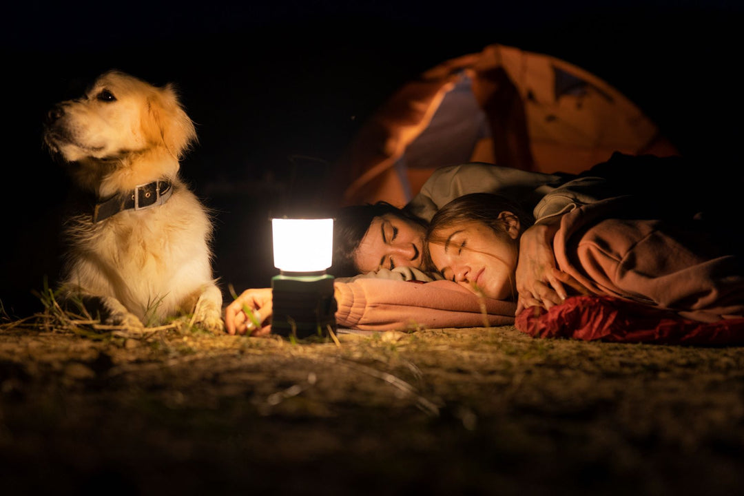 Portable Rechargeable Camping Lights and Night Out Essentials for the Perfect Wilderness Adventure