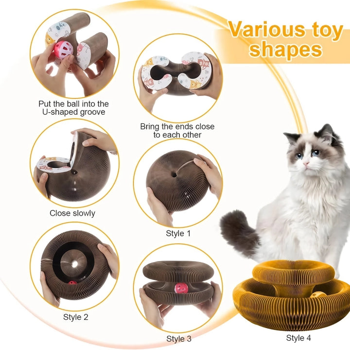 Magic Organ Cat Scratcher Toy