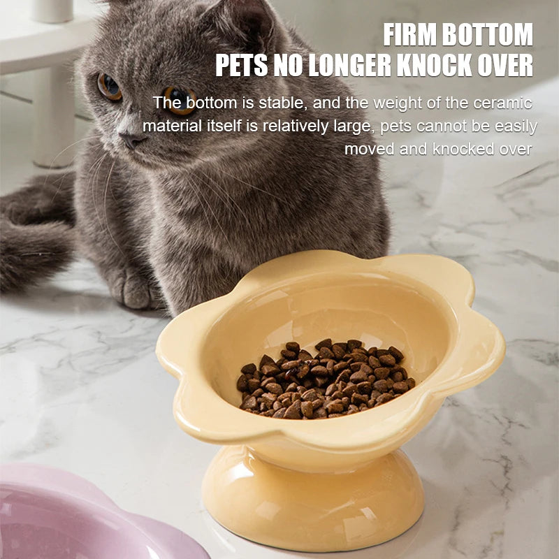 Raised Ceramic Cat Water Bowl