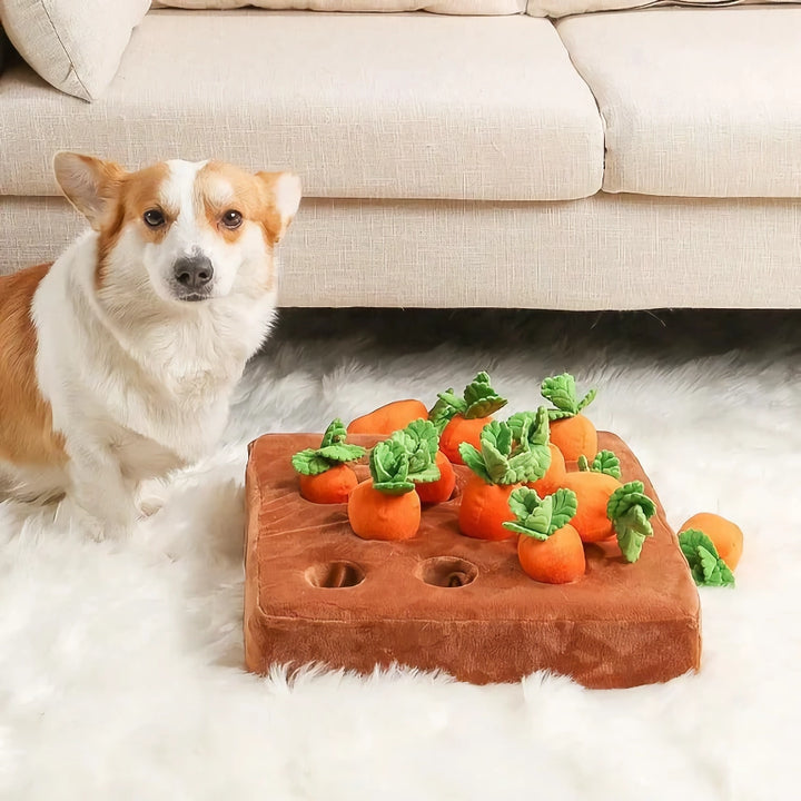 Interactive Plush Carrot Farm Dog Toy