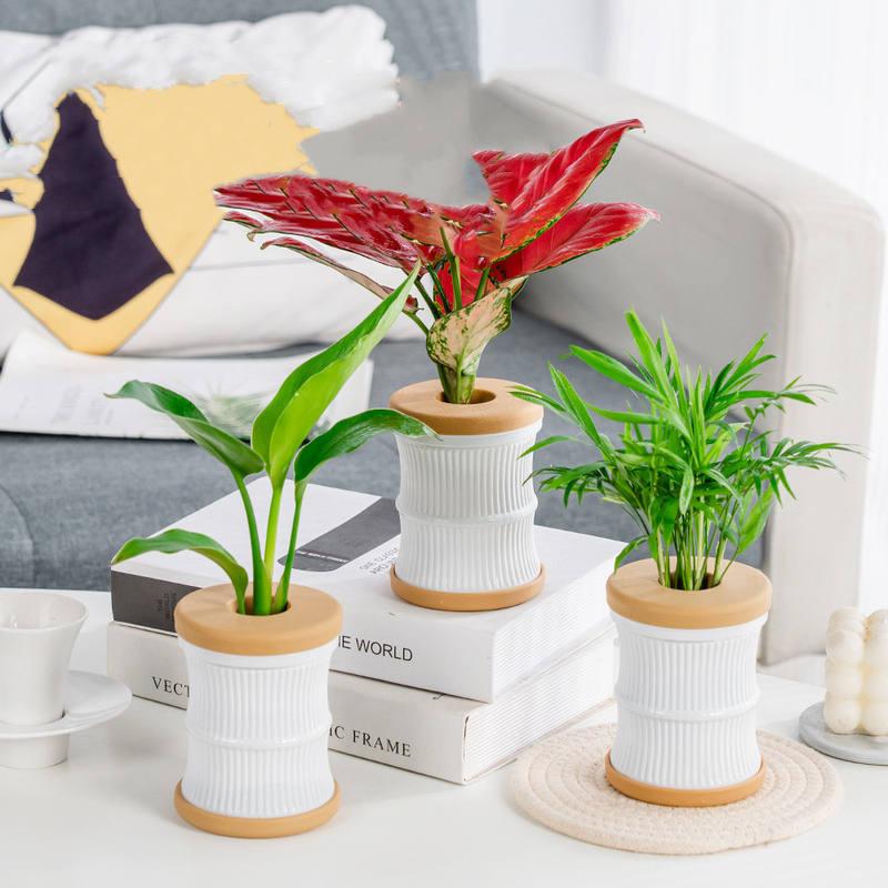 Mini Hydroponic Flower Pot