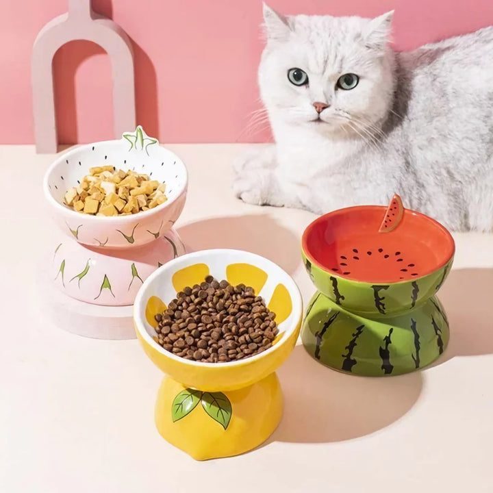 Fruit-Shaped Ceramic Pet Bowl