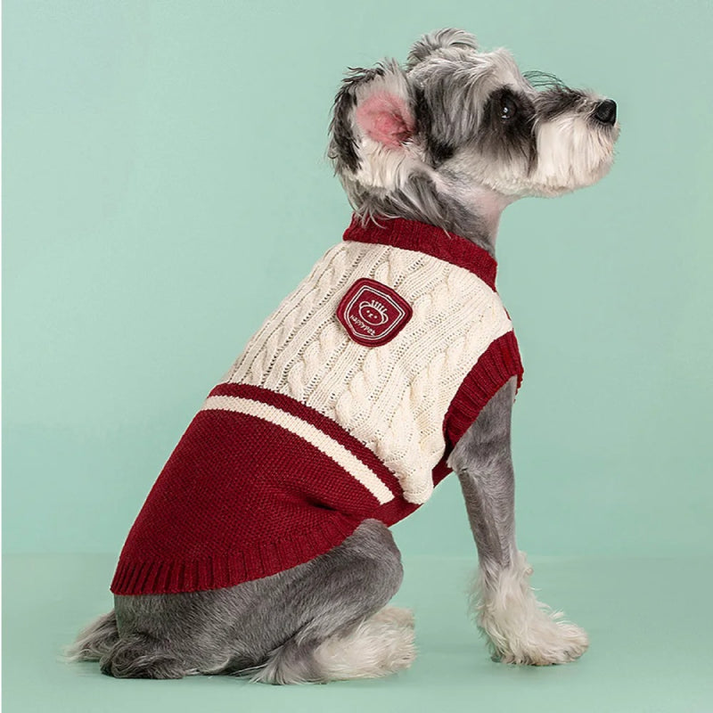 Cozy Puppy Dog Sweater for Small Breeds