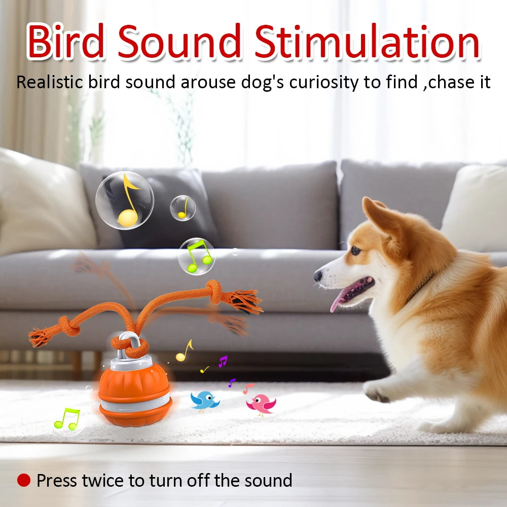 Interactive Motion-Activated Dog Toy Ball with Chew Rope and Teeth Cleaning