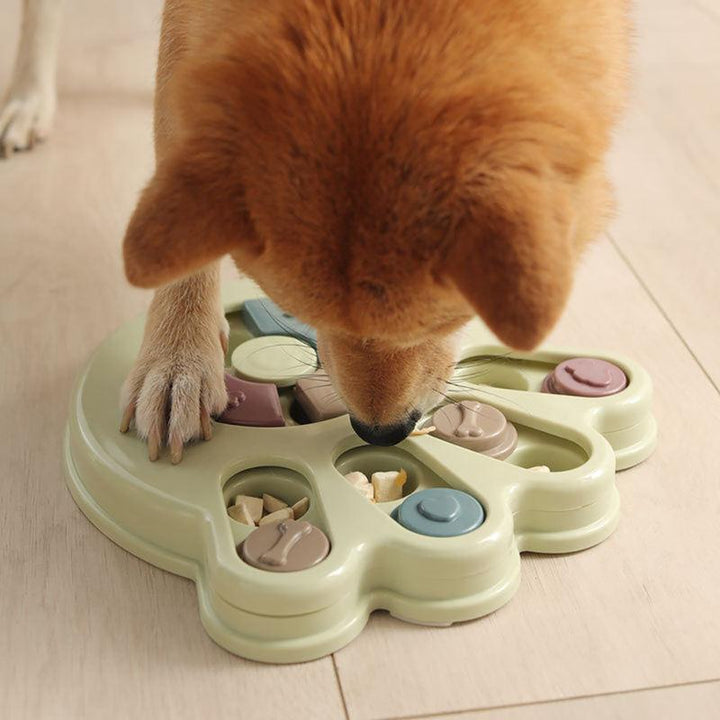 Interactive Feeding and Education Toy for Dogs and Cats