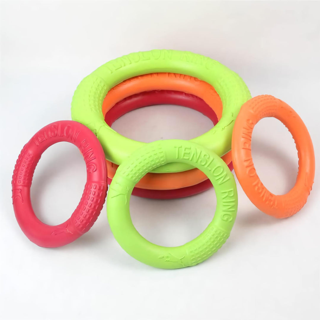 Interactive Dog Chew Toy