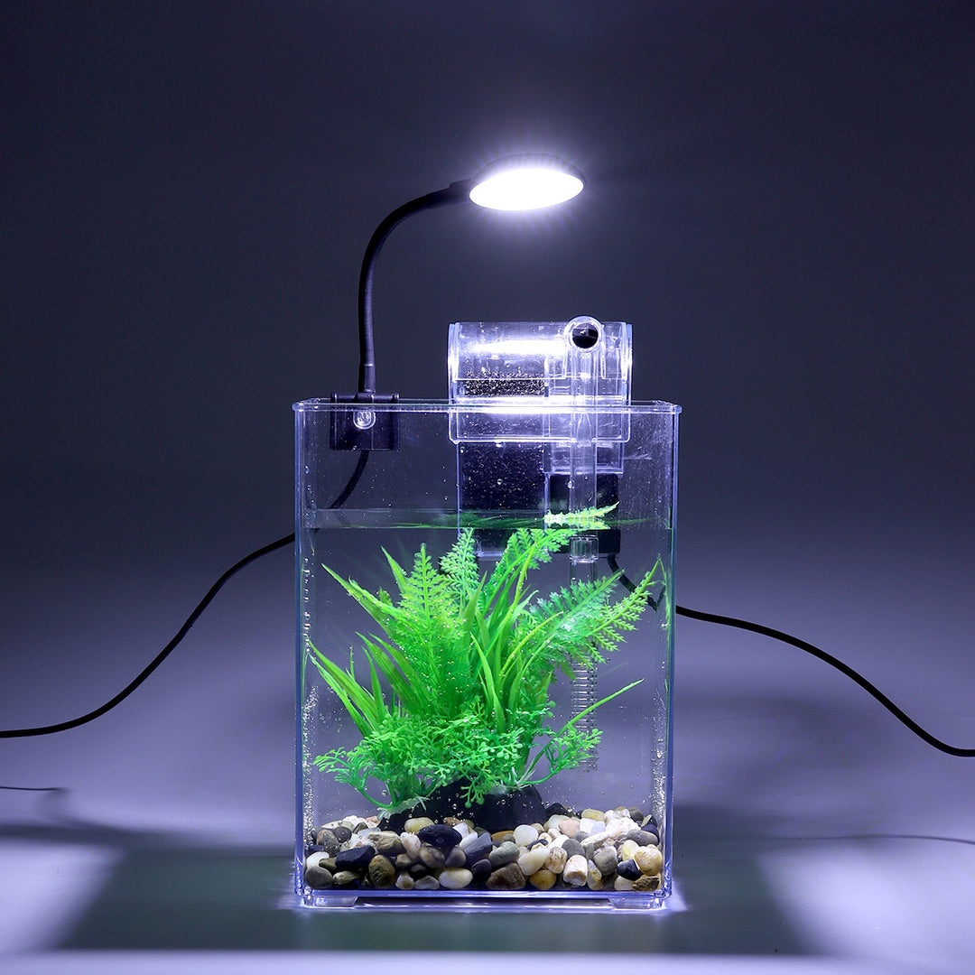 USB-Powered Desktop Fish Tank with LED Lights