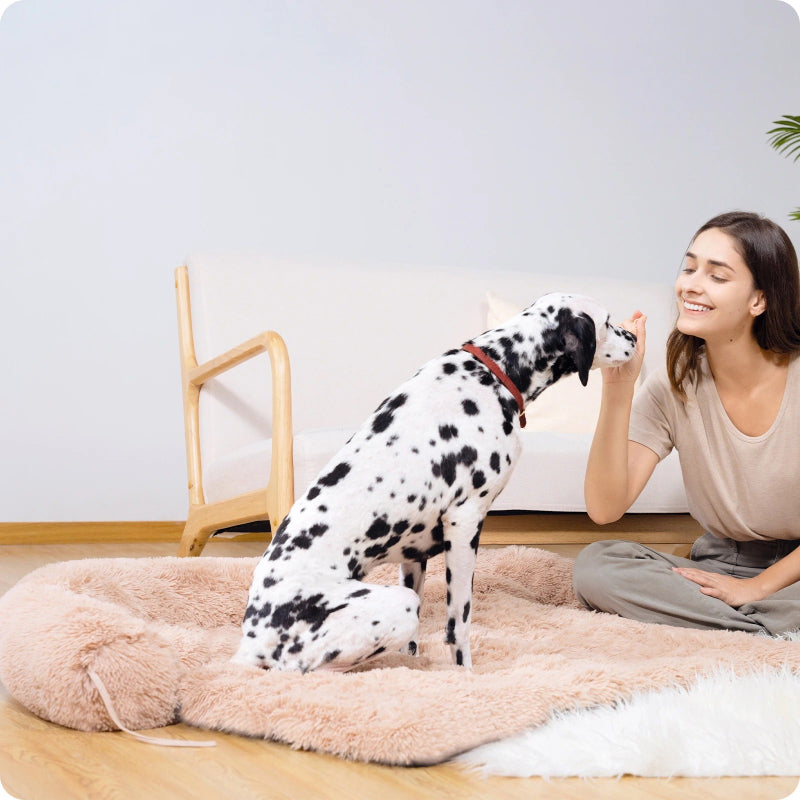 Cozy Winter Dog Bed Mat with Portable Kennel