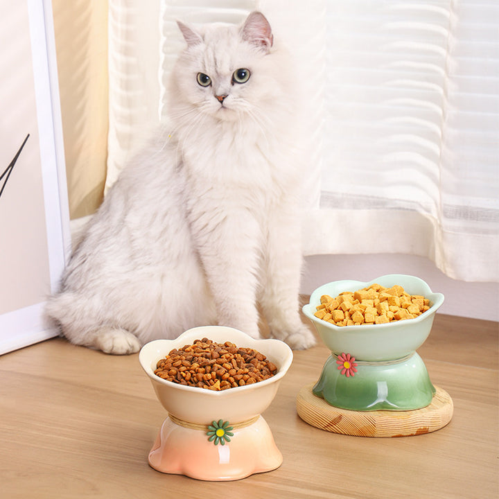 Elevated Gradient Ceramic Pet Bowl