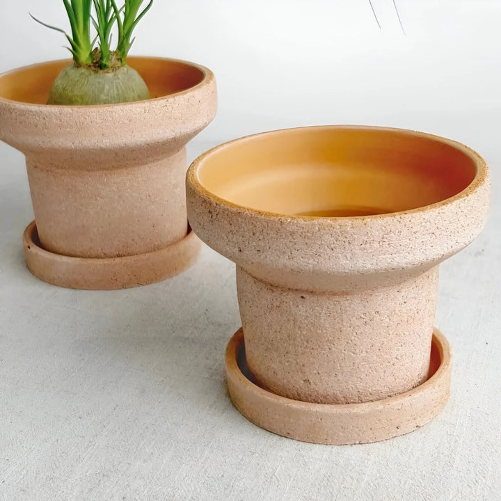 Charming Terracotta Water Pipe Planter with Tray