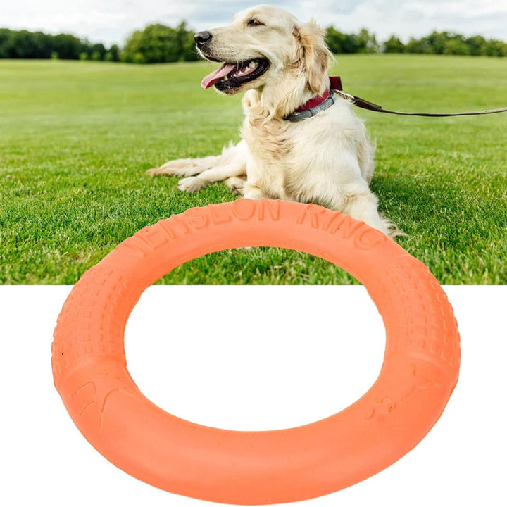 Interactive Dog Chew Toy