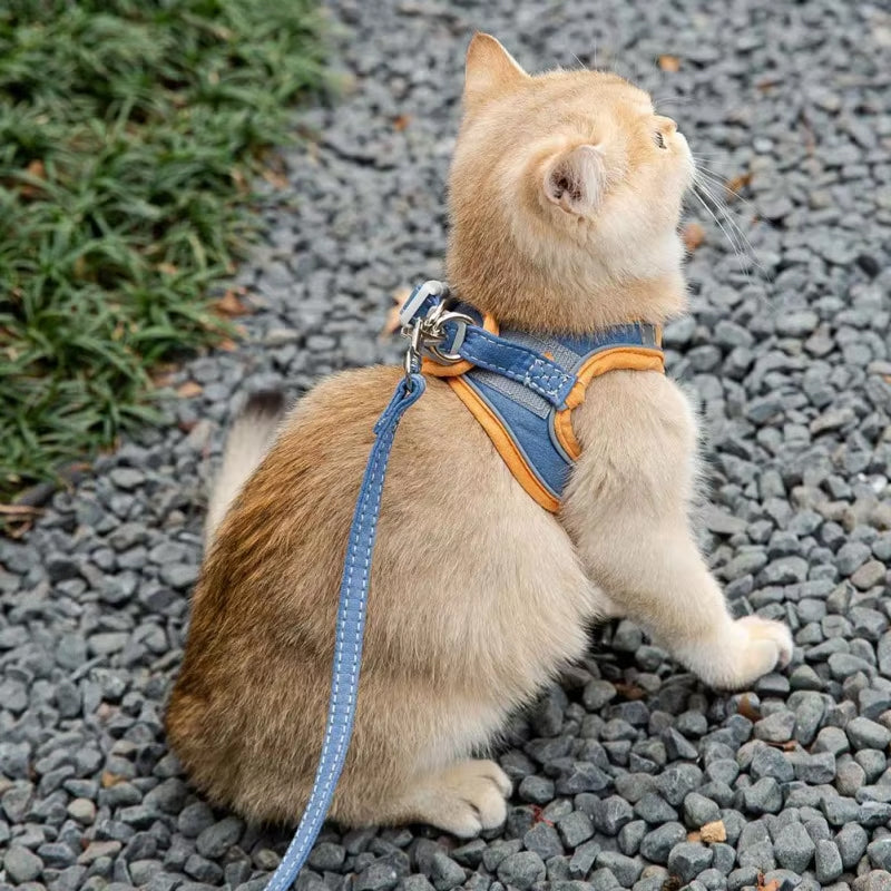 Comfortable Cat and Dog Harness Leash Set