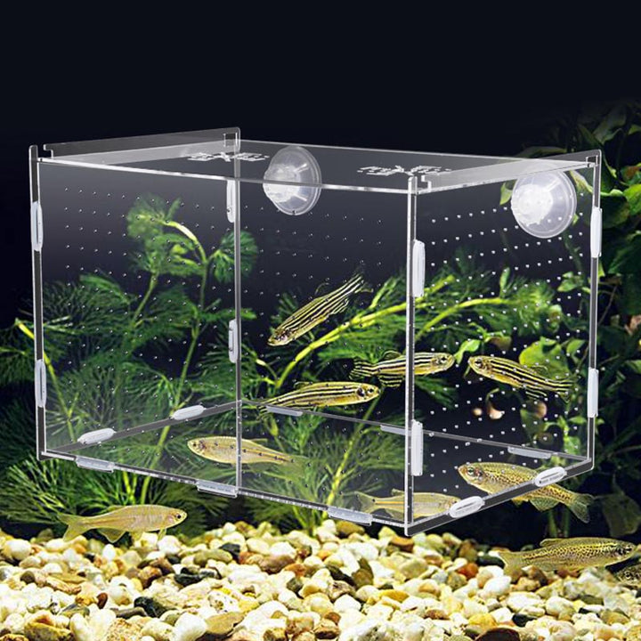 Acrylic Guppy Breeding Box