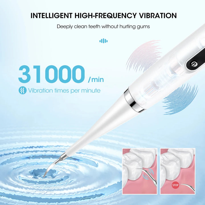 Electric Sonic Dental Scaler & Toothbrush with 8 Replaceable Heads