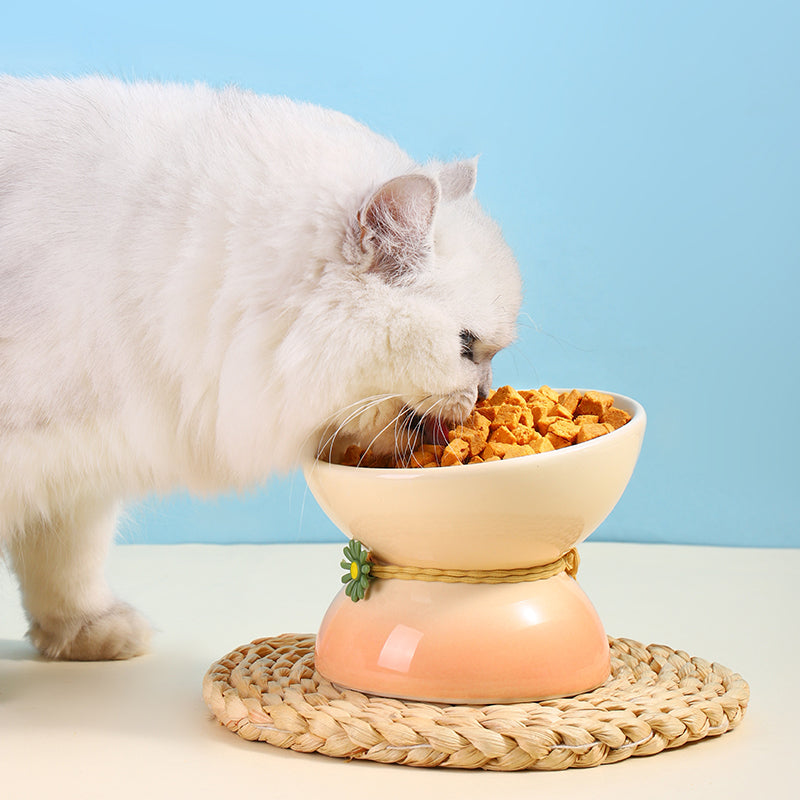 Small Ceramic Cat Bowl