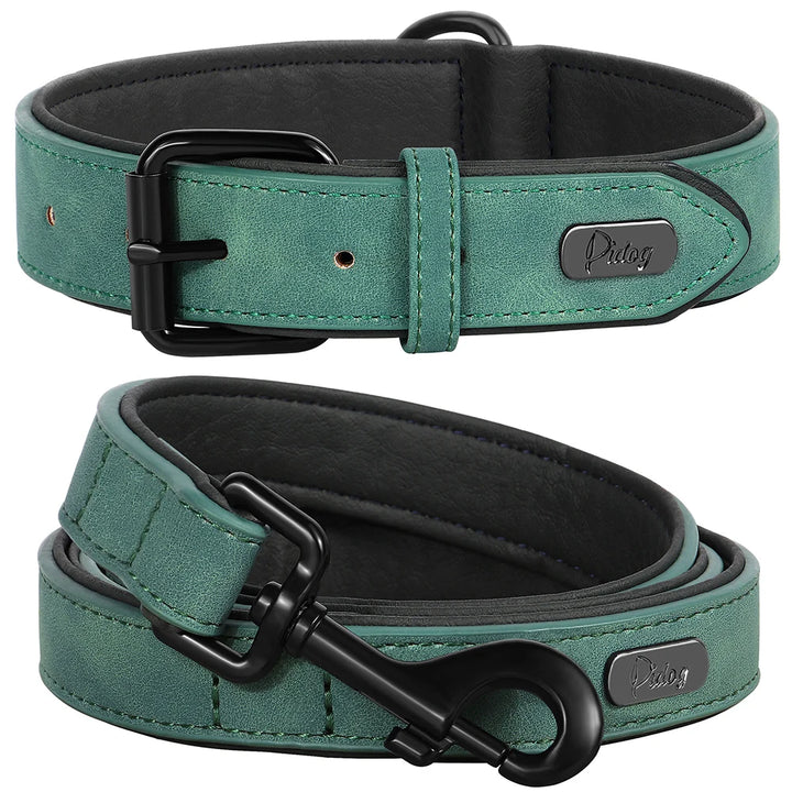 Durable Padded Dog Collar and Leash Set for Large Breeds