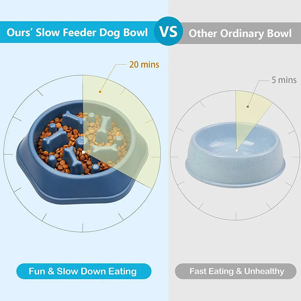 Slow Feeder Dog Bowl for Healthy Eating