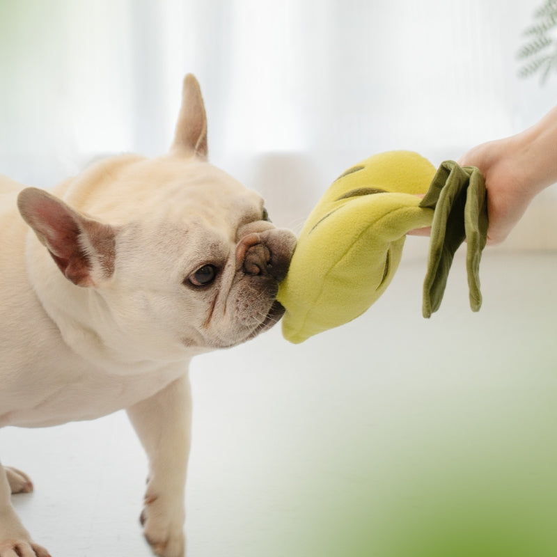 Interactive Plush Dog Snuffle Toy Set