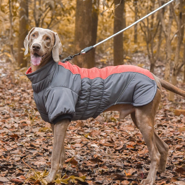 Waterproof Winter Down Jacket for Small and Medium Dogs