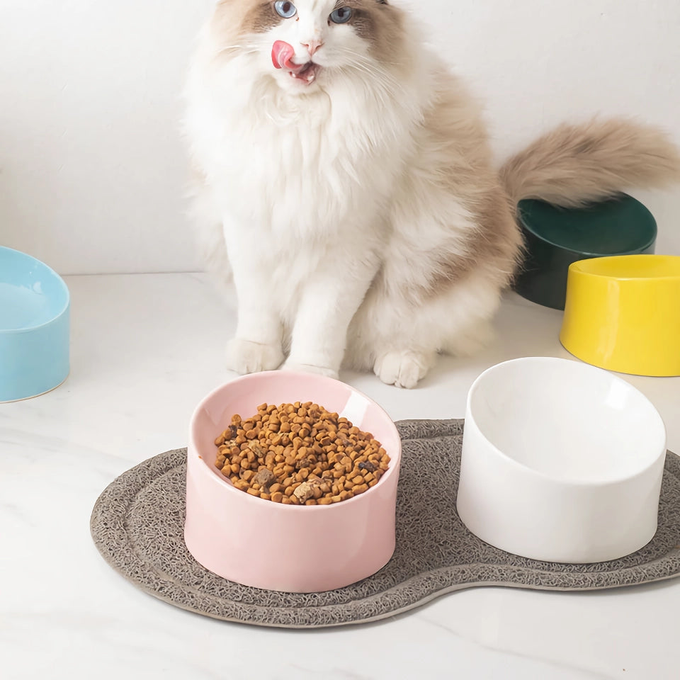 Ceramic Pet Bowl with Stand - Candy Color Dish for Small Dogs and Cats