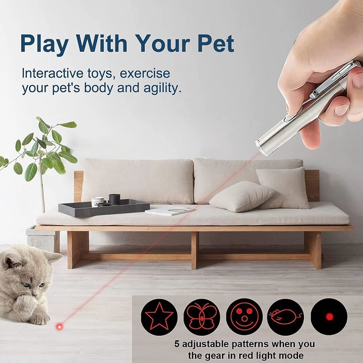 USB Rechargeable Laser Cat Toy