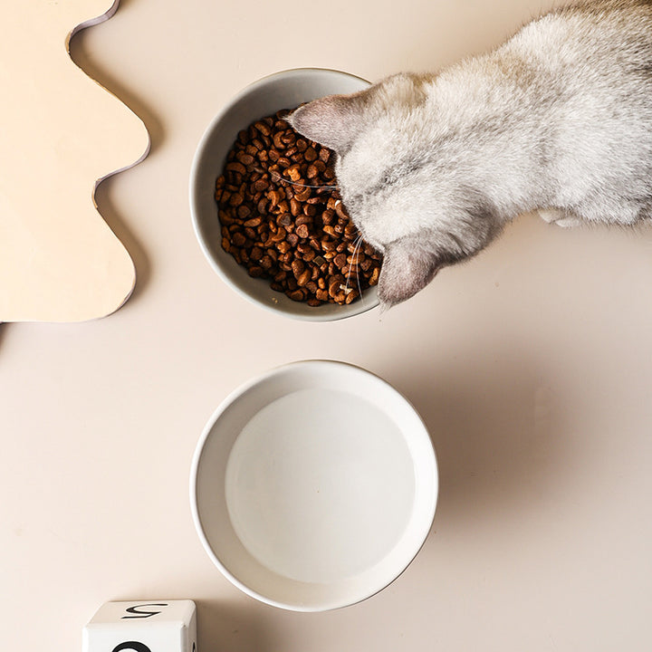 Elevated Ceramic Cat & Small Dog Bowl