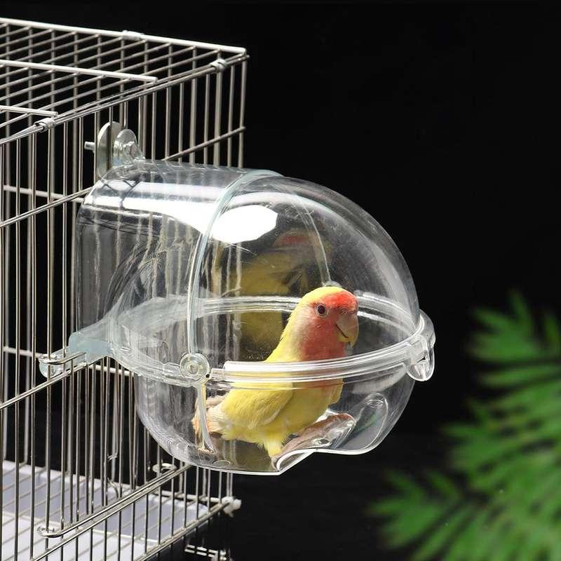 Transparent Parrot Bath Tub