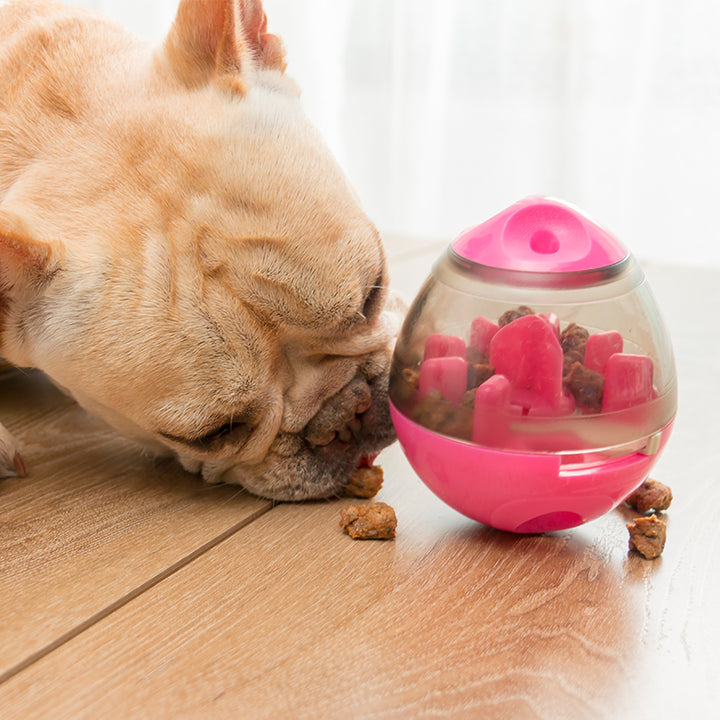 Interactive Pet Food Ball