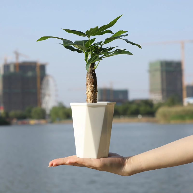 Self Watering Resin Flower Pot