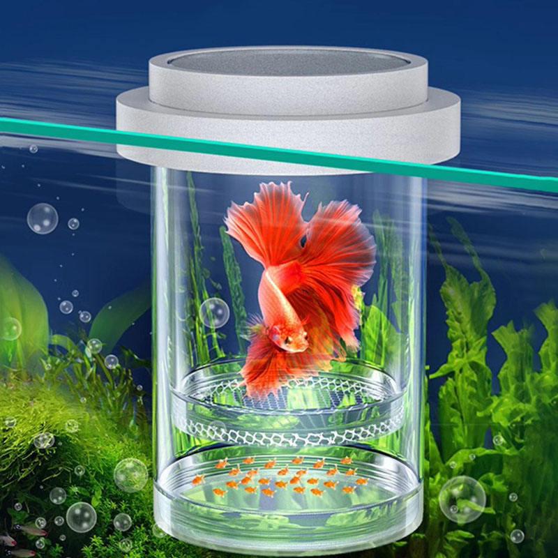 Suspension Aquarium Breeding Box