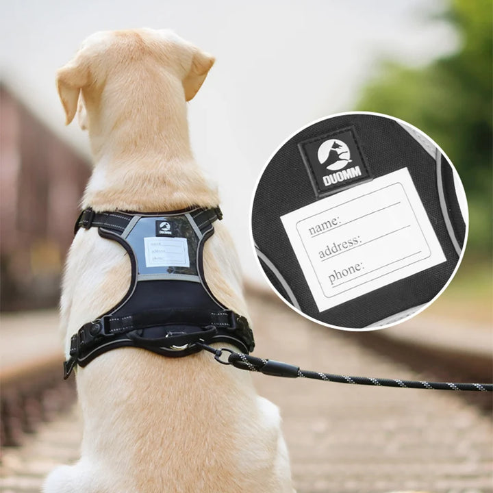 Reflective Dog Harness and Leash Set for Medium to Large Dogs – Perfect for Walking Golden Retrievers and Labradors