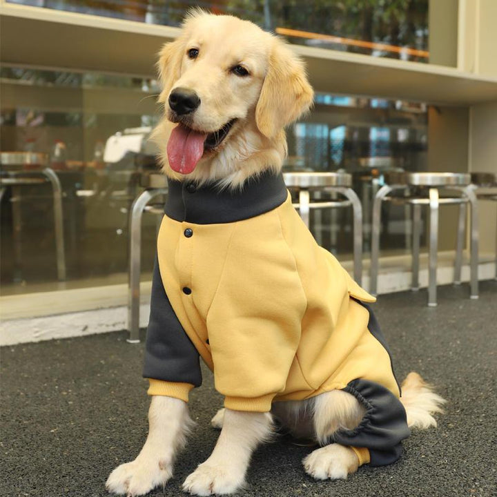 Sporty Big Dog Jacket