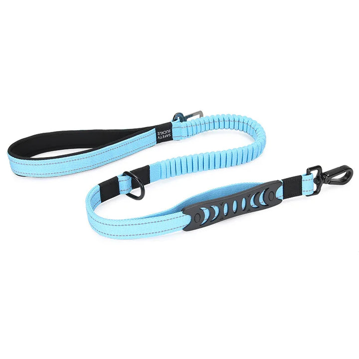 Multifunction Reflective Nylon Dog Leash & Seat Belt