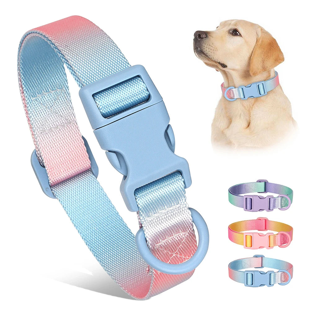 Colorful Printed Nylon Dog Collar