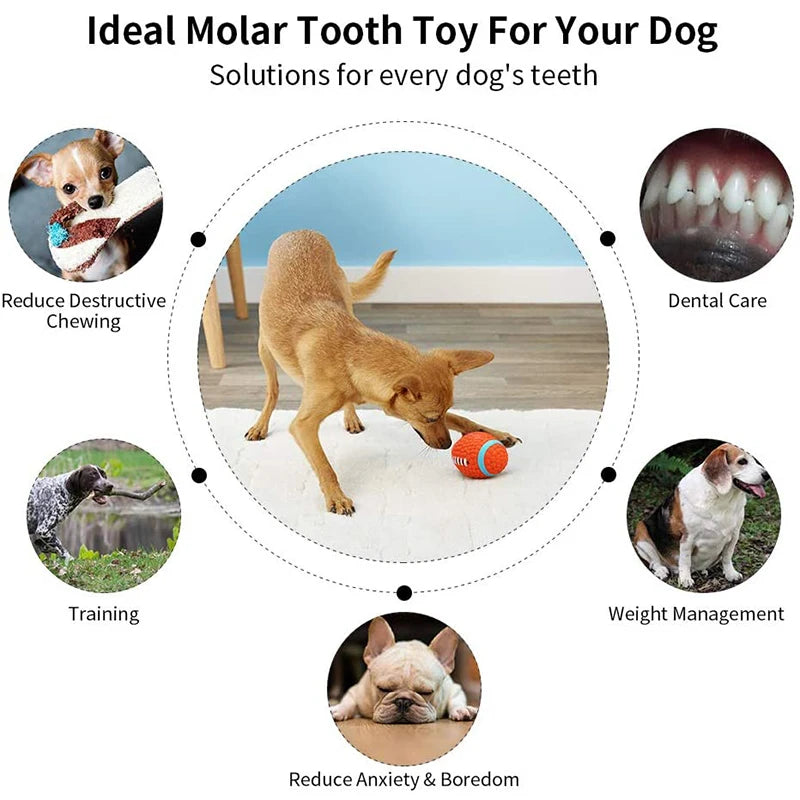 Bite-Resistant Squeaky Chew Toy for Dogs