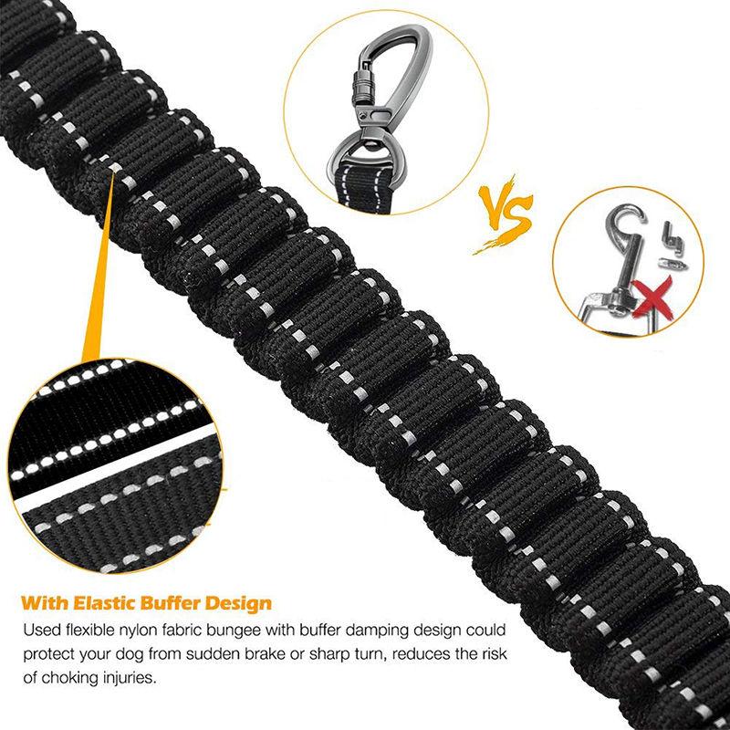 Durable Reflective Bungee Dog Leash