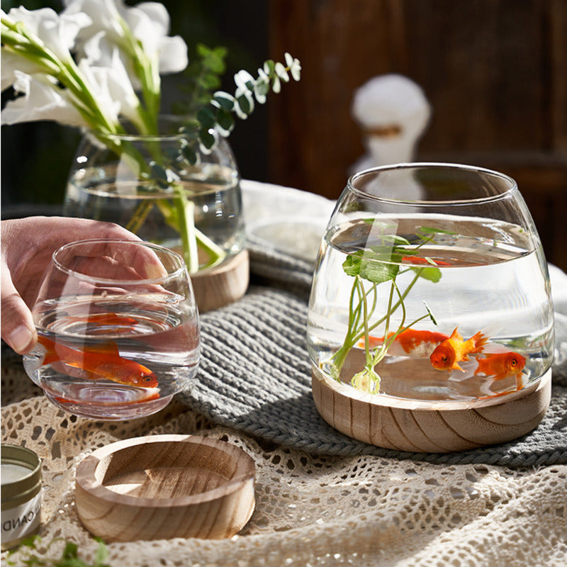 Elegant Glass Desktop Fish Tank