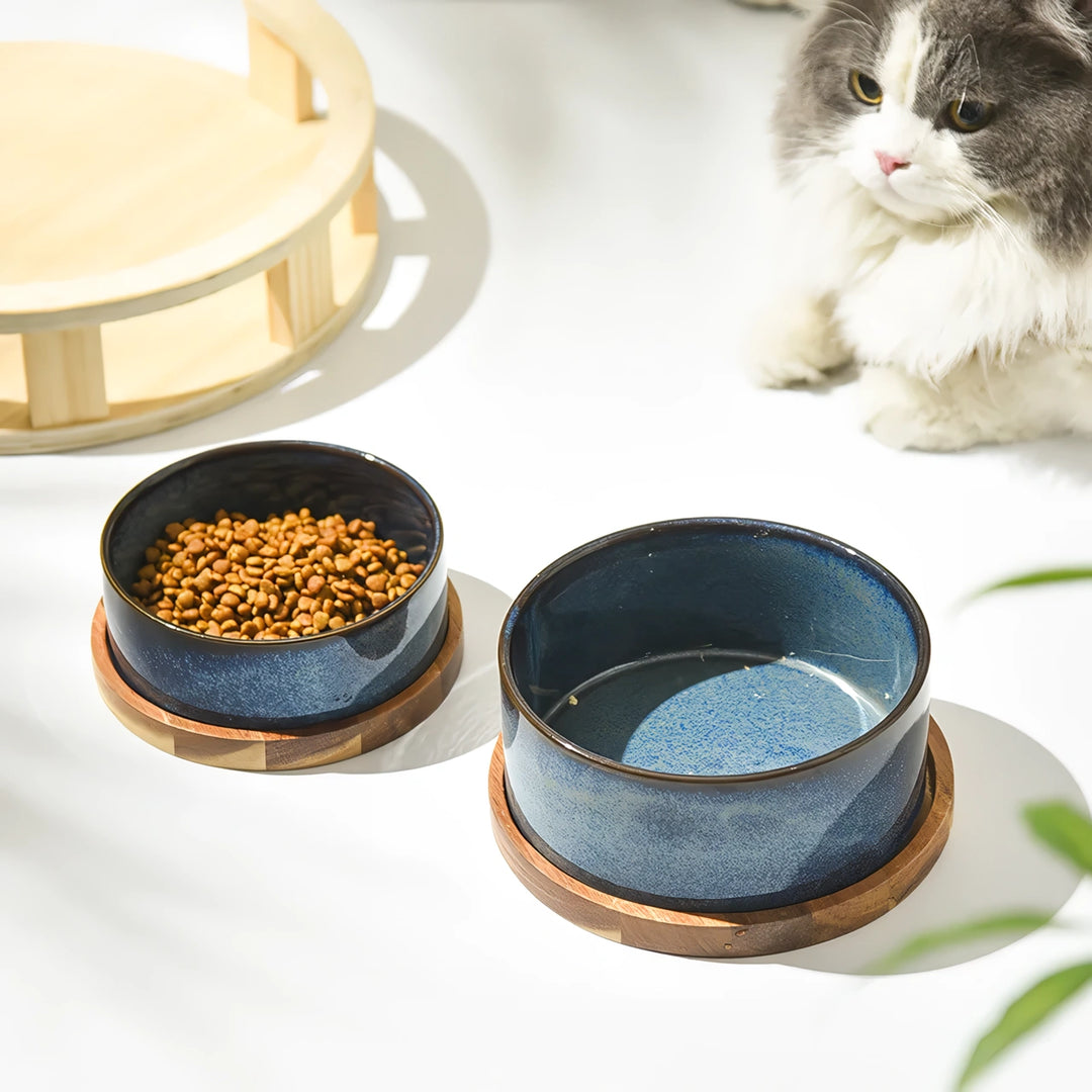 Ergonomic Ceramic Cat & Dog Food Bowl with Spine Protection and Anti-Rollover Design