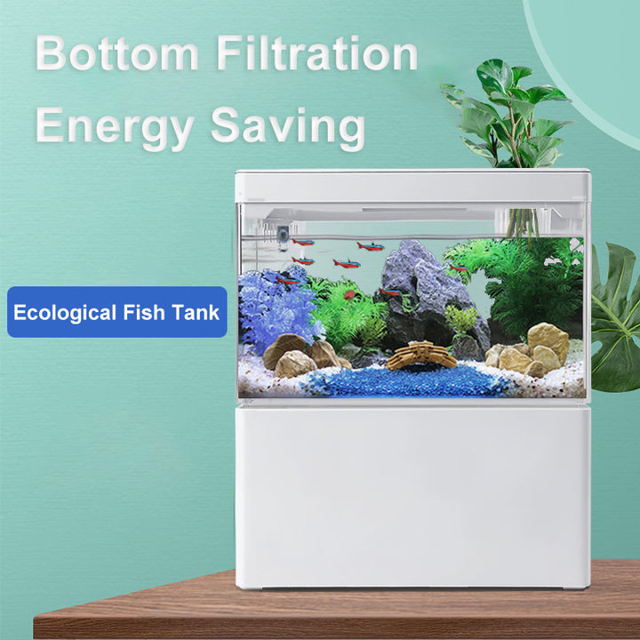 Compact Aquascape USB Fish Tank with Adjustable LED Lighting & Automatic Filtration