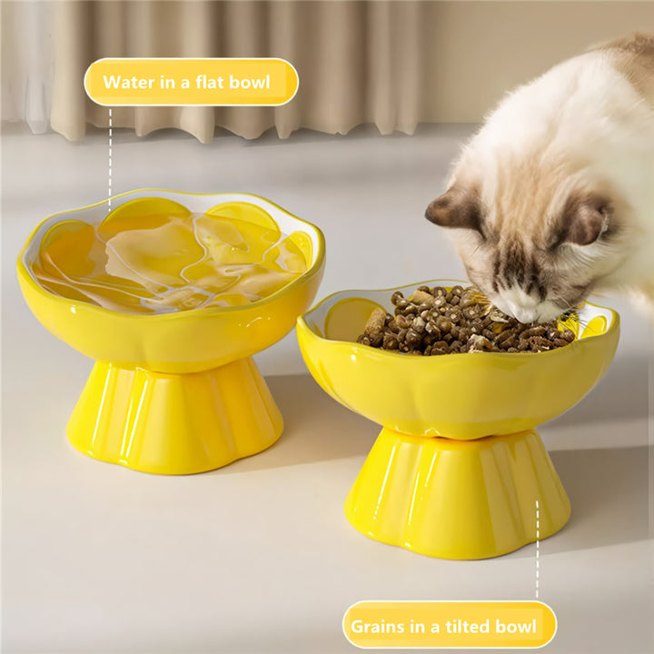 Raised Ceramic Pet Bowl