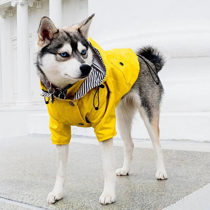 Waterproof Raincoat for Medium and Large Dogs