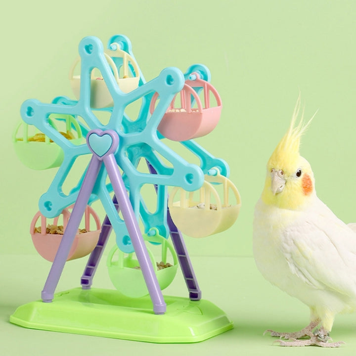 Colorful Parrot Foraging Toy