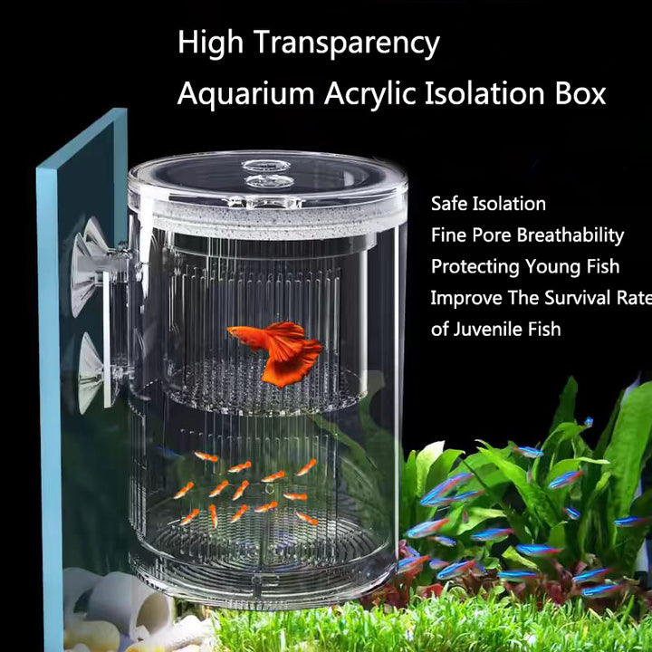 Acrylic Floating Fish Breeding Isolation Box