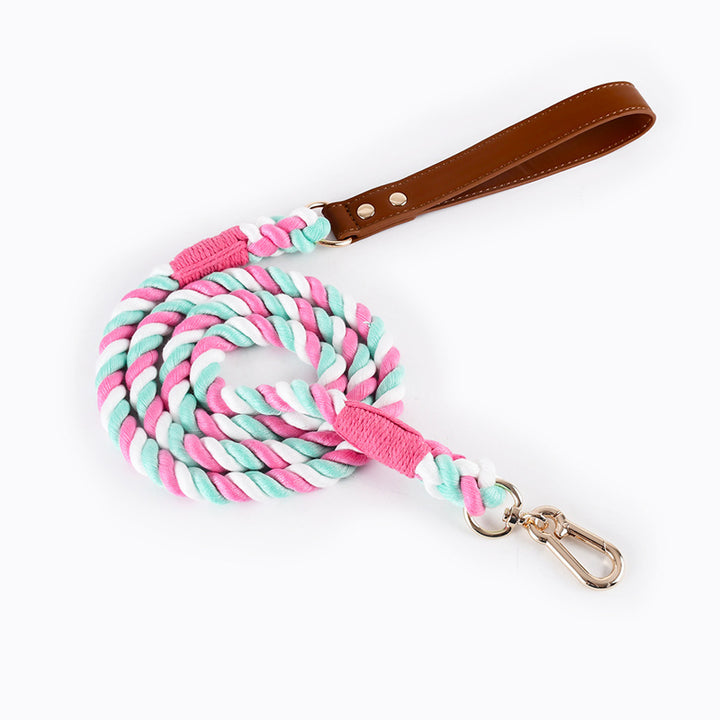 Durable No-Tangle Braided Dog Leash