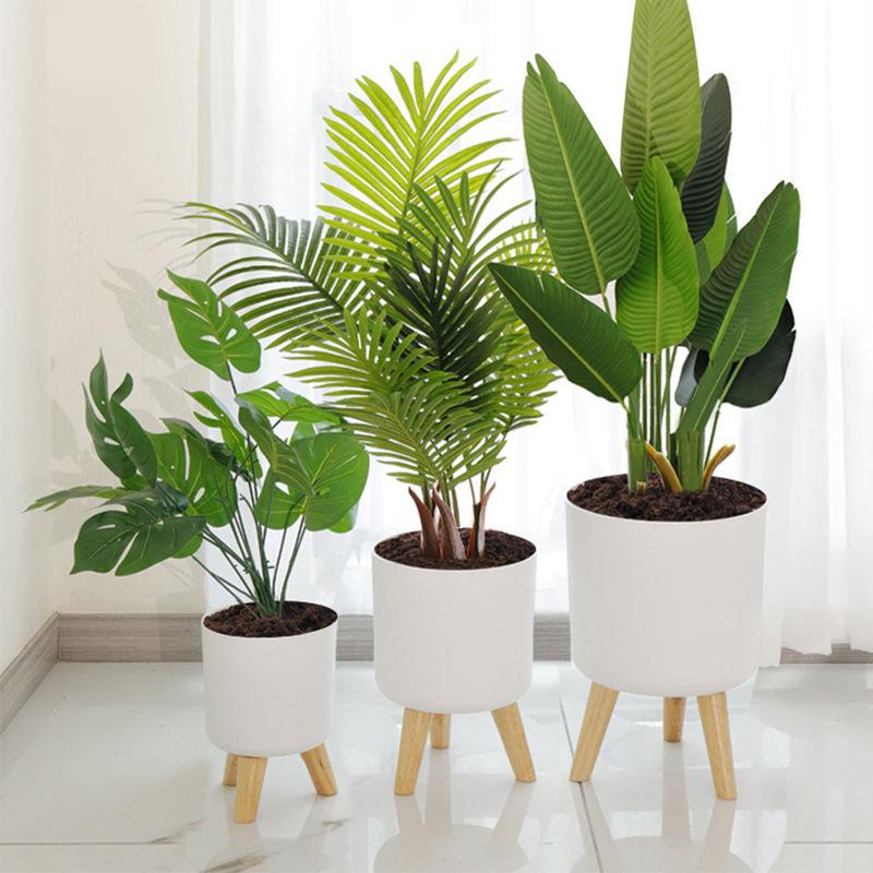Modern Self-Watering Planter with Wooden Stand