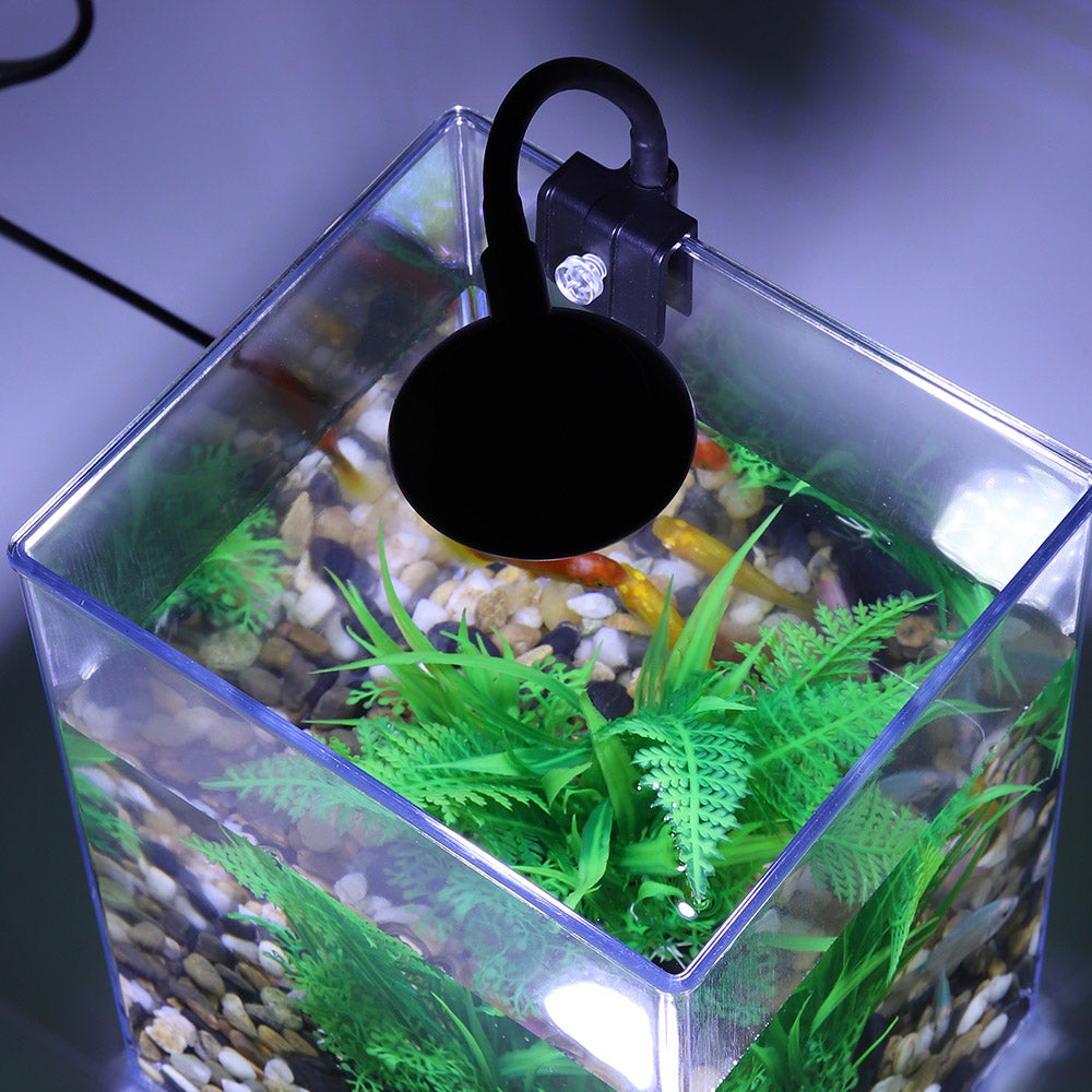 USB-Powered Desktop Fish Tank with LED Lights